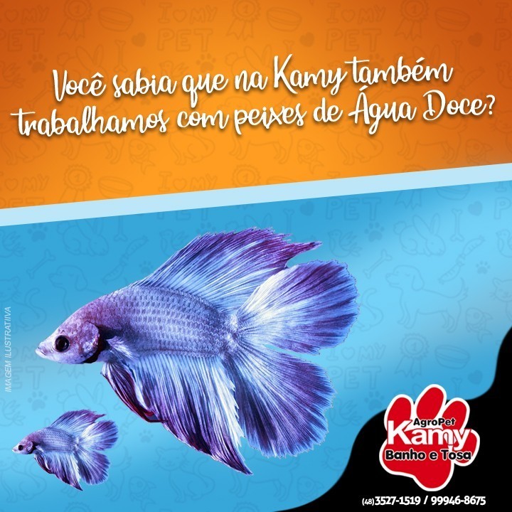 Consulta veterinária para pets na Kamy Agropet
