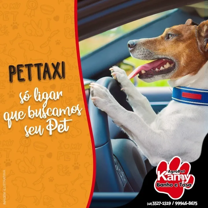 Produtos premium para pets na Kamy Agropet