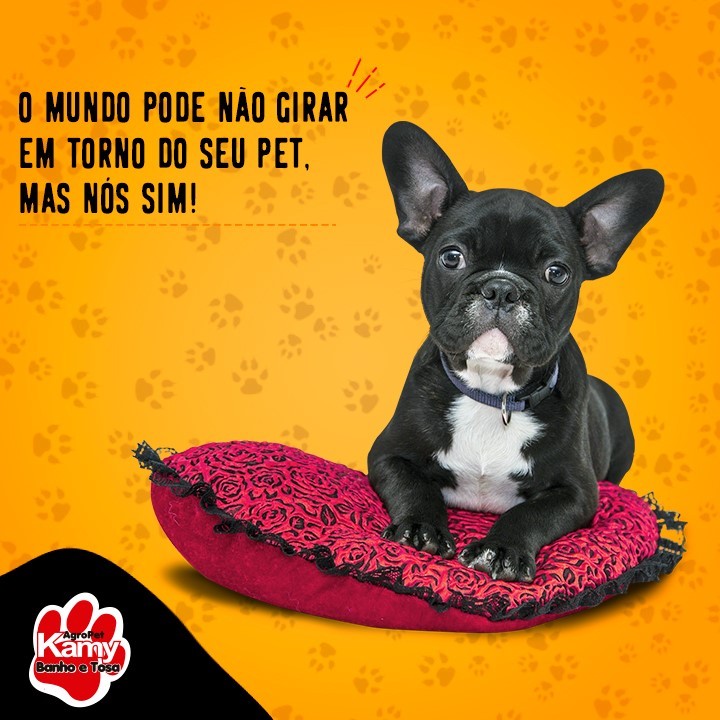 Delivery de produtos para pets da Kamy Agropet