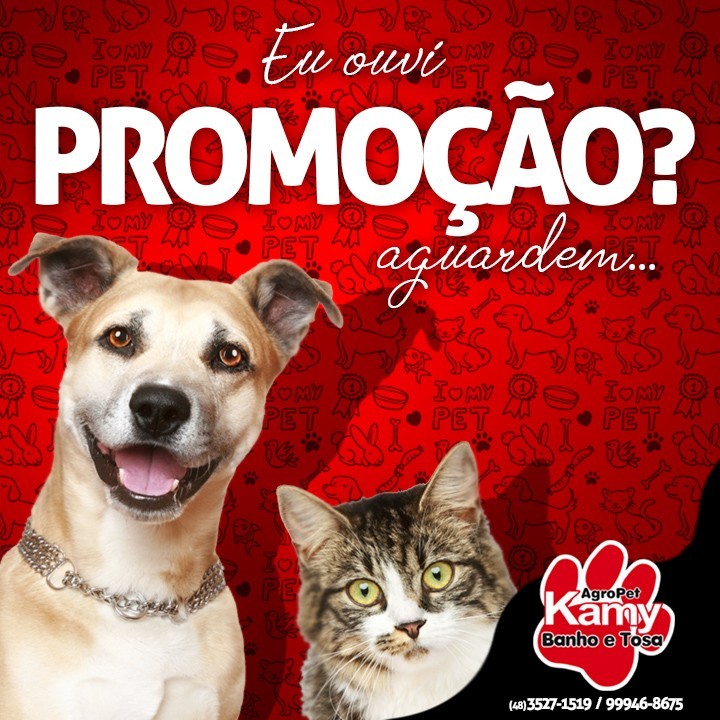 Day care para pets na Kamy Agropet