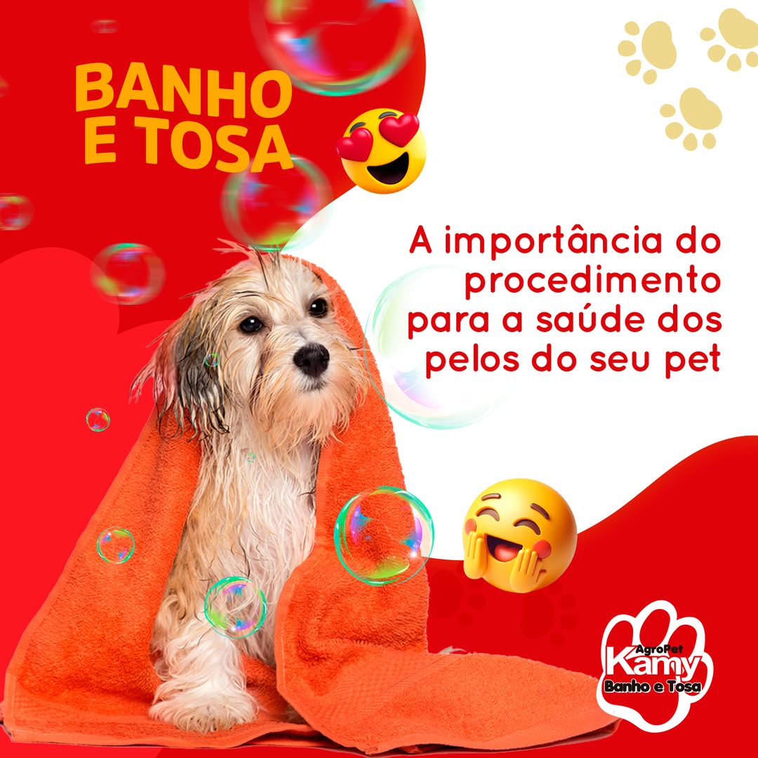 Equipe da Kamy Agropet cuidando dos pets